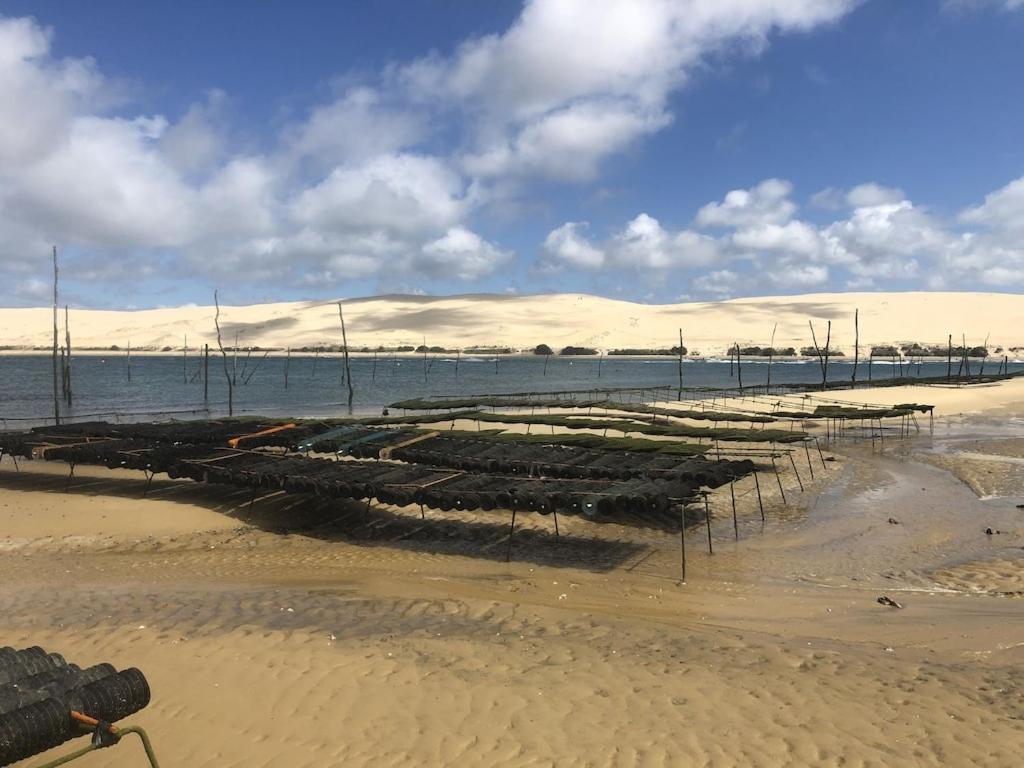 Ville Les Flots Bleus Proche Golf Arcachon ลาเตสเตอ-เดอ-บูค ภายนอก รูปภาพ